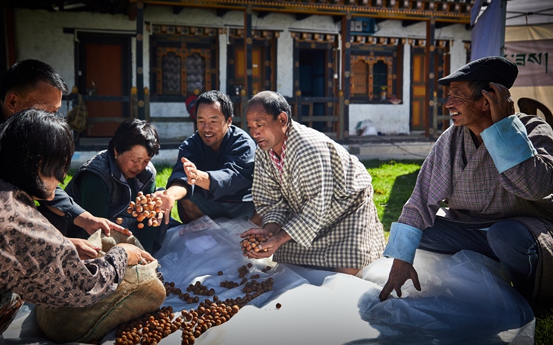 Innovation in the Himalayas: Bhutan's Rise as a Hazelnut Producer