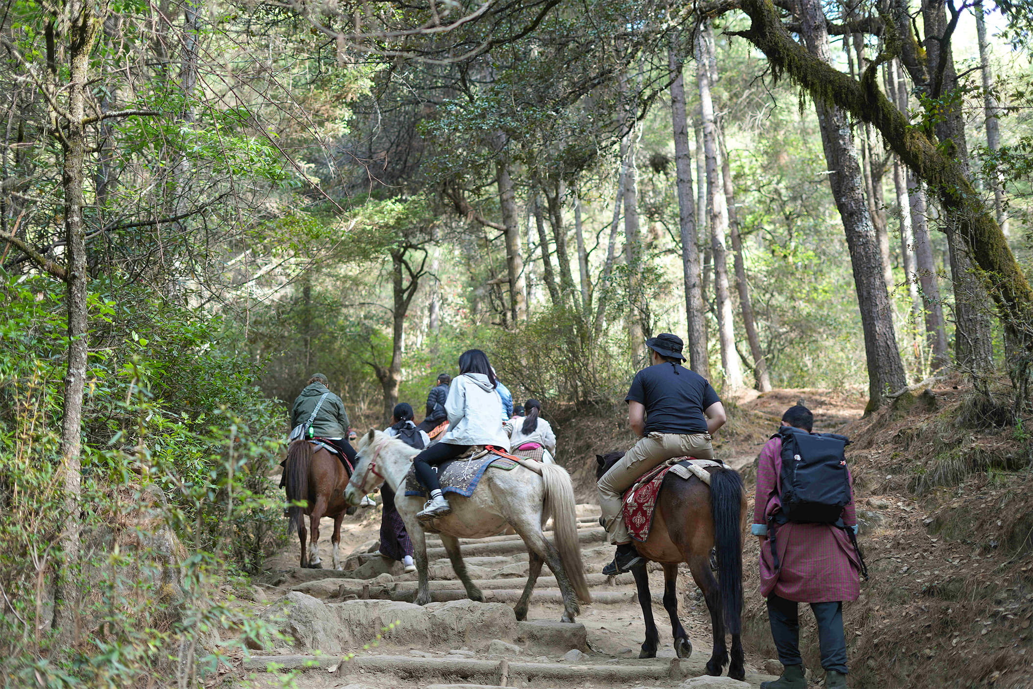 5 Day Bhutan Incentive Itinerary | Sample MICE Programme