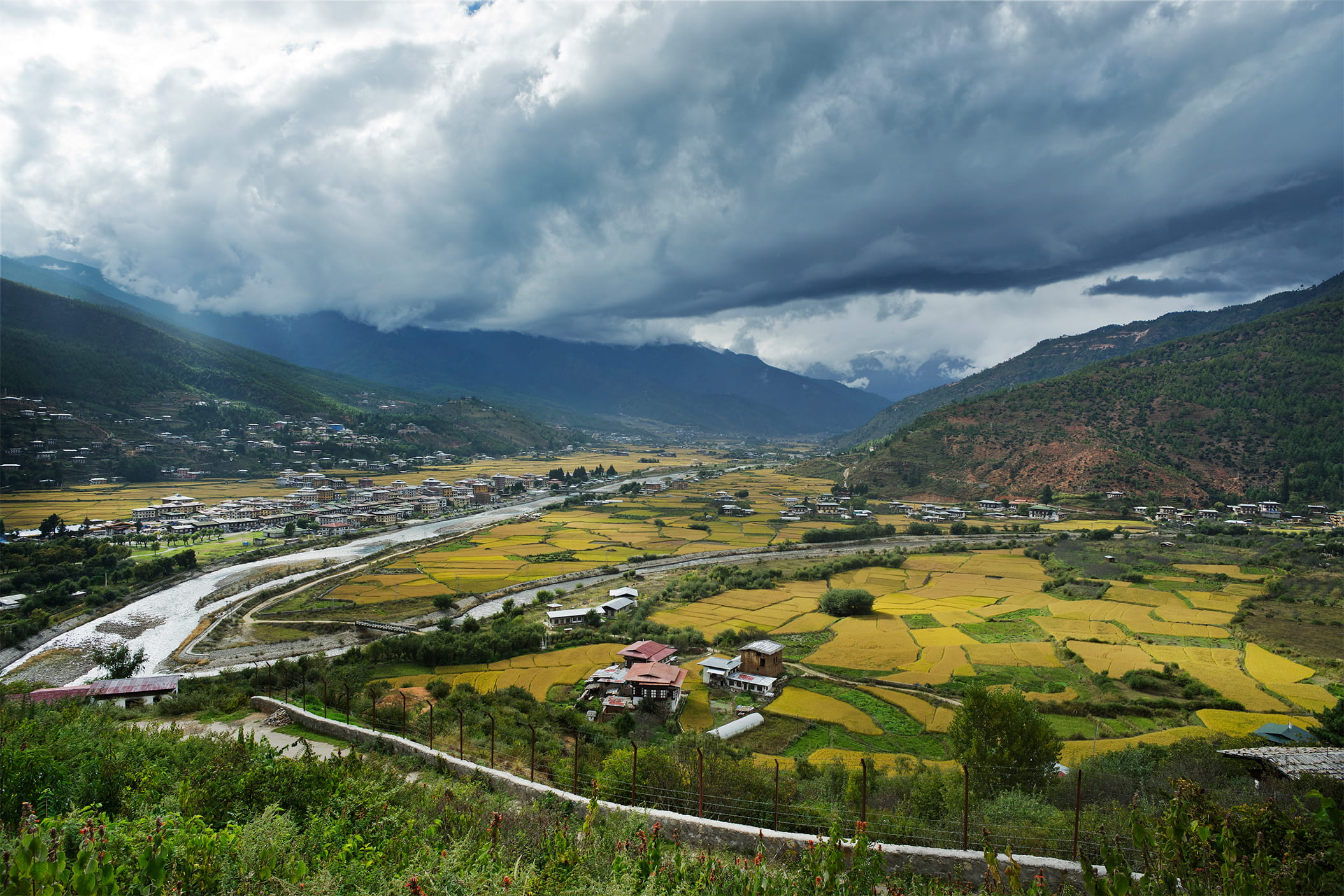 Protecting nature today creates resilience for generations ahead