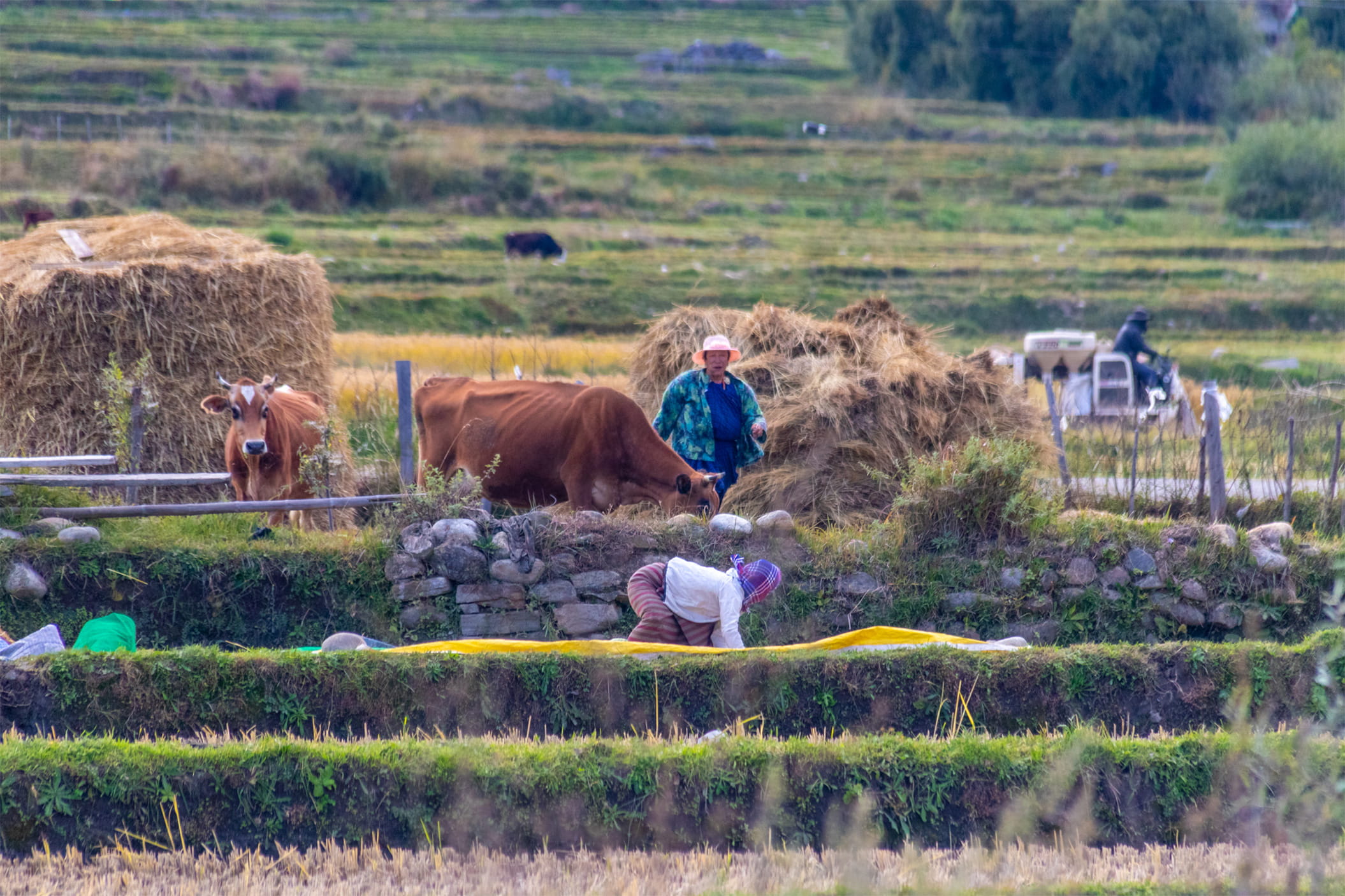 Connect with local communities through meaningful shared experiences.
